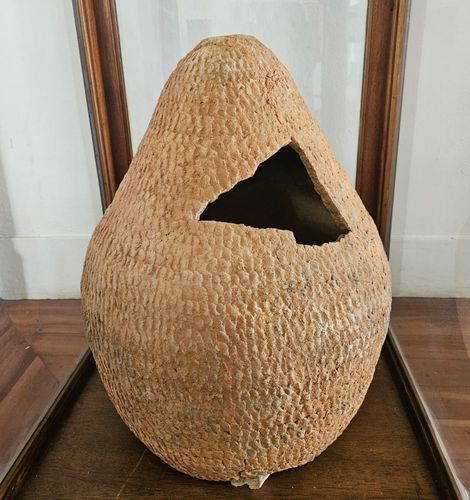 Igaçaba